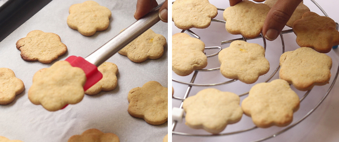 Wheat honey cookies recipe